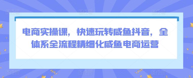 电商实操课，快速玩转咸鱼抖音，全体系全流程精细化咸鱼电商运营 - 小毅网创-小毅网创
