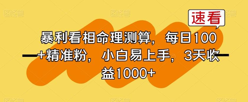 暴利看相命理测算，每日100+精准粉，小白易上手，3天收益1000+【揭秘】 - 小毅网创-小毅网创