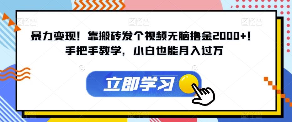 暴力变现！靠搬砖发个视频无脑撸金2000+！手把手教学，小白也能月入过万【揭秘】 - 小毅网创-小毅网创
