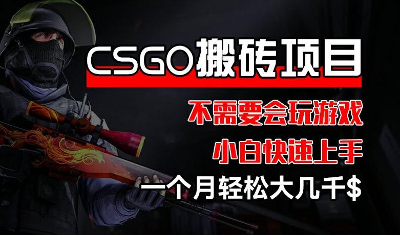 CSGO 装备搬砖项目，操作简单，不需要会玩游戏，小白也能快速上手，一个月轻松大几千【揭秘】 - 小毅网创-小毅网创