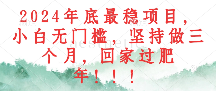 2024年底最稳项目，小白无门槛，坚持做三个月，回家过肥年！！！ - 小毅网创-小毅网创