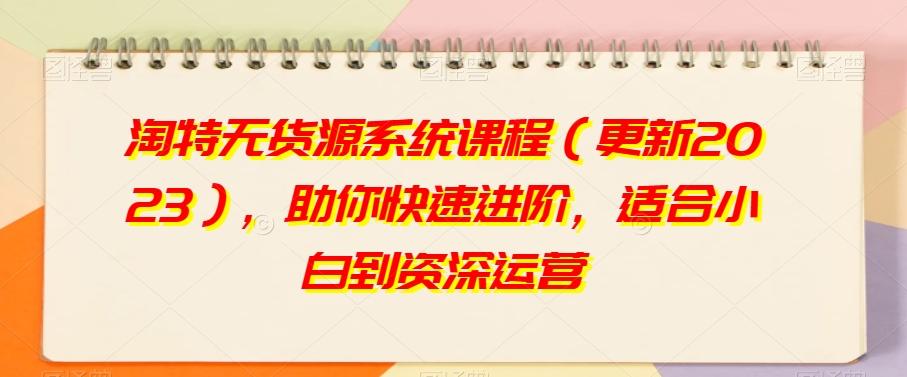 淘特无货源系统课程（更新2023），助你快速进阶，适合小白到资深运营 - 小毅网创-小毅网创