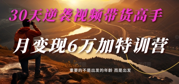 30天逆袭视频带货高手，单月变现6万加特训营-麦子甜 - 小毅网创-小毅网创
