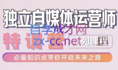 博老师·2024独立自媒体运营师特训营 - 小毅网创-小毅网创