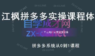 江枫老师·拼多多实操课程 - 小毅网创-小毅网创