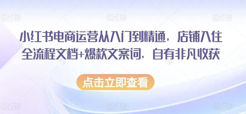 小红书电商运营从入门到精通，店铺入住全流程文档+爆款文案词，自有非凡收获 - 小毅网创-小毅网创