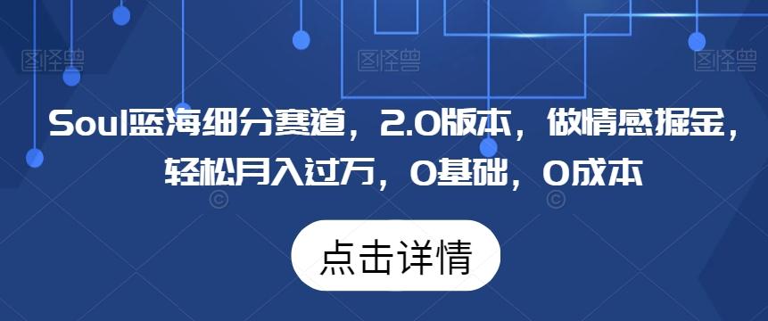 Soul蓝海细分赛道，2.0版本，做情感掘金，轻松月入过万，0基础，0成本 - 小毅网创-小毅网创