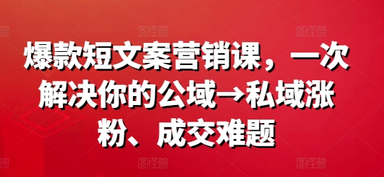爆款短文案营销课，一次解决你的公域→私域涨粉、成交难题 - 小毅网创-小毅网创