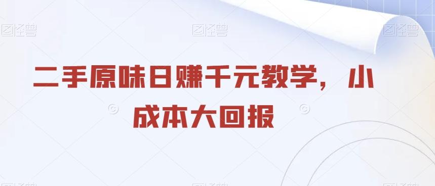 二手原味日赚千元教学，小成本大回报 - 小毅网创-小毅网创