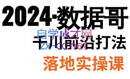 数据哥·2024年千川前沿打法落地实操课 - 小毅网创-小毅网创