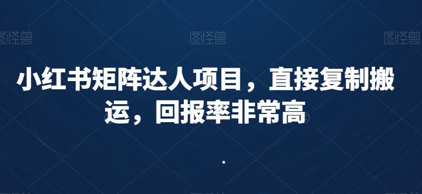 小红书矩阵达人项目，直接复制搬运，回报率非常高 - 小毅网创-小毅网创