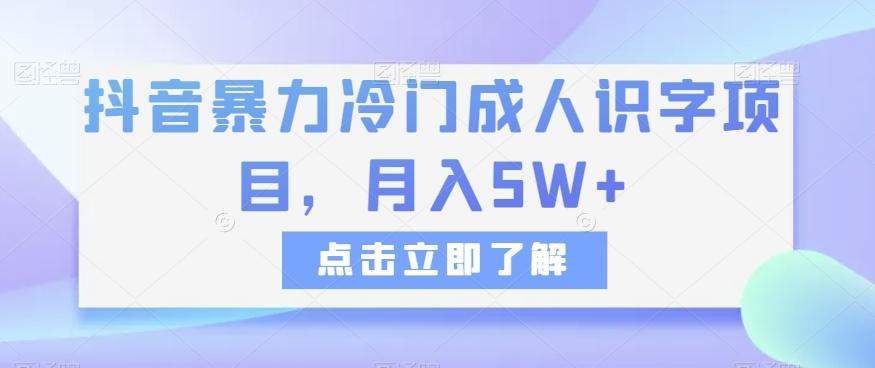 抖音暴力冷门成人识字项目，月入5W+【揭秘】 - 小毅网创-小毅网创