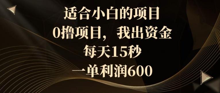 适合小白的项目，0撸项目，我出资金，每天15秒，一单利润600 - 小毅网创-小毅网创