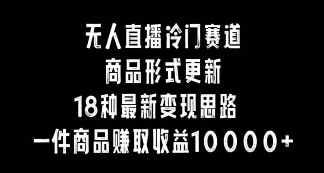无人直播冷门赛道，商品形式更新，18种变现思路，一件商品赚取收益10000+【揭秘】 - 小毅网创-小毅网创