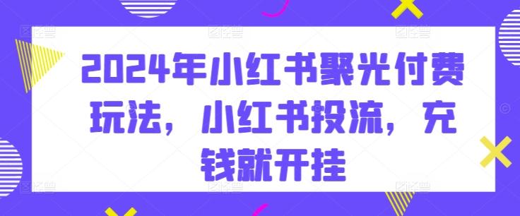 2024年小红书聚光付费玩法，小红书投流，充钱就开挂 - 小毅网创-小毅网创