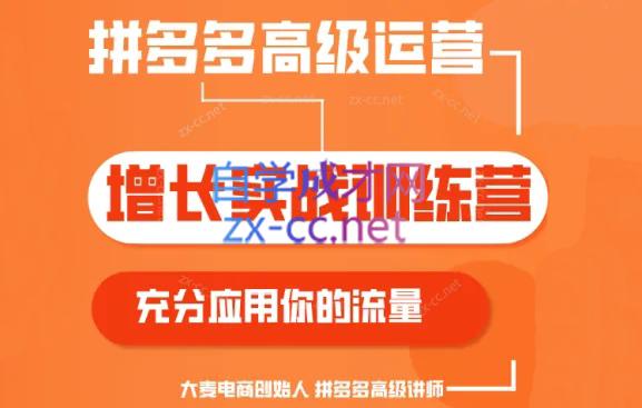 大麦老师·拼多多单品爆款打造课程(更新6月) - 小毅网创-小毅网创