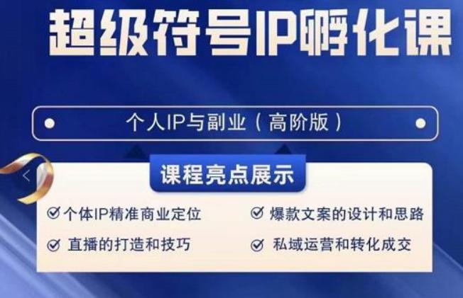 超级符号IP孵化高阶课，建立流量思维底层逻辑，打造属于自己IP（51节课） - 小毅网创-小毅网创