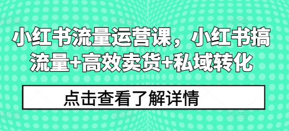 小红书流量运营课，小红书搞流量+高效卖货+私域转化 - 小毅网创-小毅网创
