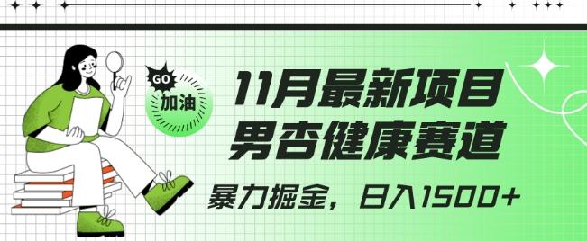 最新项目，男杏健康赛道，暴力掘金，日入1500+ - 小毅网创-小毅网创