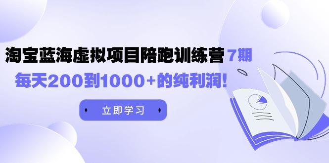 (9541期)黄岛主《淘宝蓝海虚拟项目陪跑训练营7期》每天200到1000+的纯利润 - 小毅网创-小毅网创