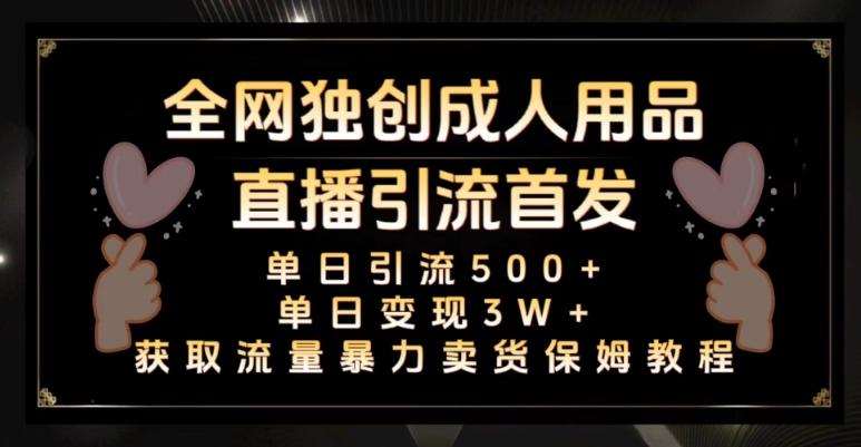 全网独创真人主播+无人直播单日引流500+，橙人用品暴力卖货单日变现3W+保姆似教学2.0【揭秘】 - 小毅网创-小毅网创