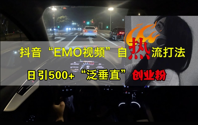 抖音EMO视频自热打法，日引500+“泛垂直”创业粉 - 小毅网创-小毅网创