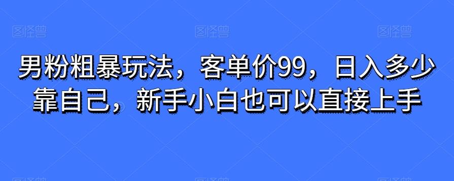 男粉粗暴玩法，客单价99，日入多少靠自己，新手小白也可以直接上手 - 小毅网创-小毅网创