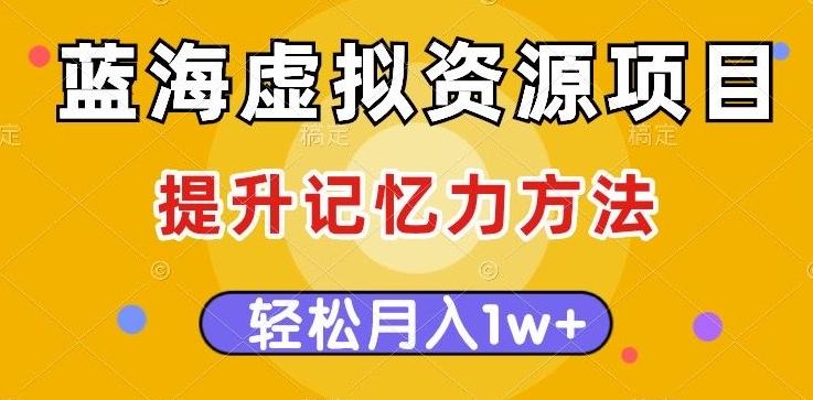 蓝海虚拟资源项目，提升记忆力方法，多种变现方式，轻松月入1w+【揭秘】 - 小毅网创-小毅网创