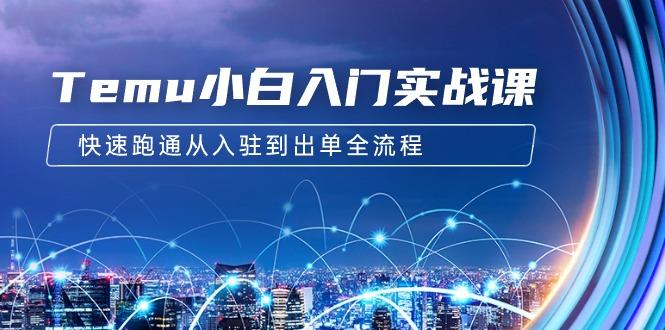 (9295期)Temu小白入门实战课：跨境拼多多电商培训 快速跑通从入驻到出单全流程-12节 - 小毅网创-小毅网创