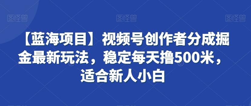 【蓝海项目】视频号创作者分成掘金最新玩法，稳定每天撸500米，适合新人小白【揭秘】 - 小毅网创-小毅网创
