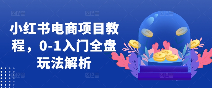 小红书电商项目教程，0-1入门全盘玩法解析 - 小毅网创-小毅网创
