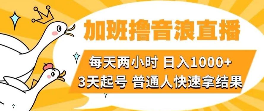 加班撸音浪直播，每天两小时，日入1000+，直播话术才3句，3天起号，普通人快速拿结果【揭秘】 - 小毅网创-小毅网创