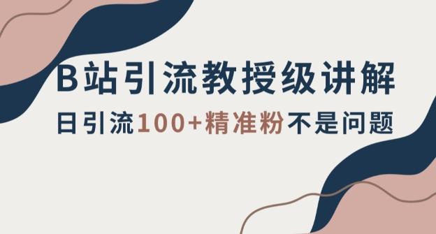 B站引流教授级讲解，细节满满，日引流100+精准粉不是问题【揭秘】 - 小毅网创-小毅网创