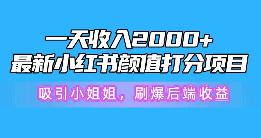 一天收入2000+，最新小红书颜值打分项目，吸引小姐姐，刷爆后端收益 - 小毅网创-小毅网创