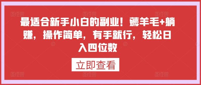 最适合新手小白的副业！薅羊毛+躺赚，操作简单，有手就行，轻松日入四位数【揭秘】 - 小毅网创-小毅网创