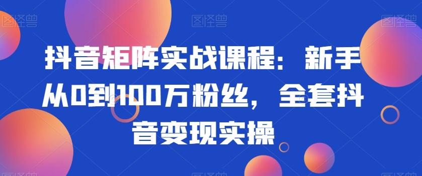 抖音矩阵实战课程：新手从0到100万粉丝，全套抖音变现实操 - 小毅网创-小毅网创
