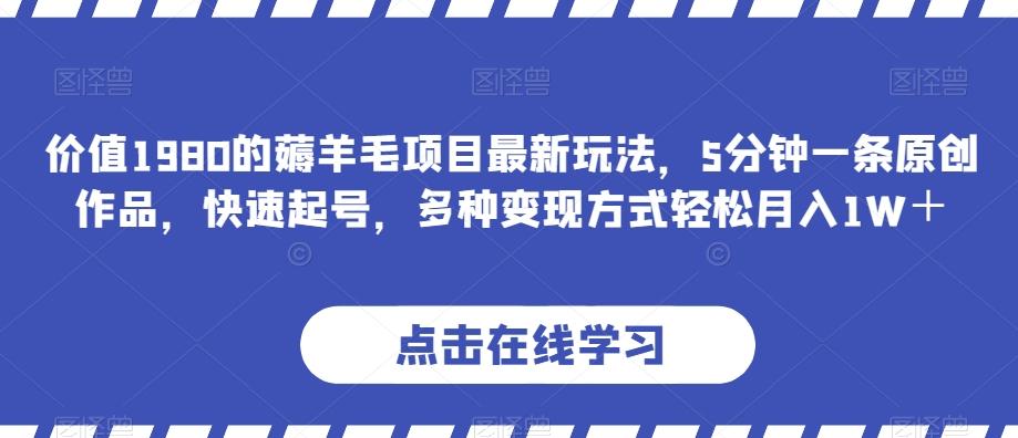 价值1980的薅羊毛项目最新玩法，5分钟一条原创作品，快速起号，多种变现方式轻松月入1W＋【揭秘】 - 小毅网创-小毅网创
