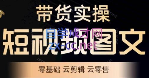 鑫哥·2024零基础短视频带货实操营 - 小毅网创-小毅网创