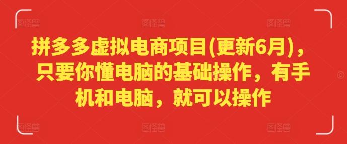 拼多多虚拟电商项目(更新6月)，只要你懂电脑的基础操作，有手机和电脑，就可以操作 - 小毅网创-小毅网创