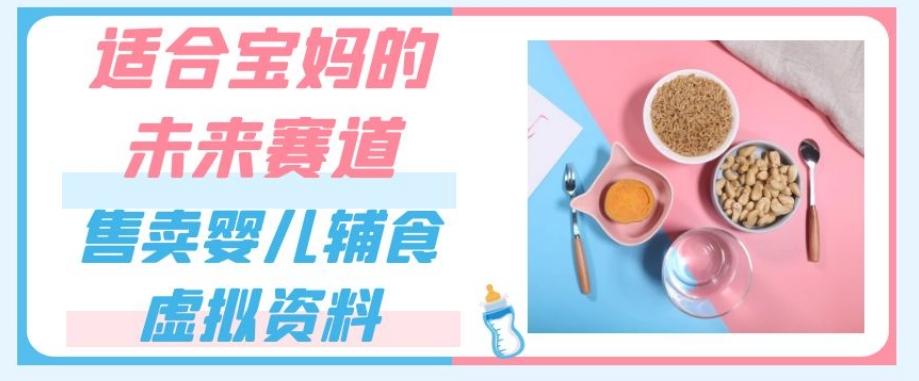 适合宝妈的未来赛道，售卖婴儿辅食虚拟资料，一份9.9-69.9元闭眼赚钱 - 小毅网创-小毅网创