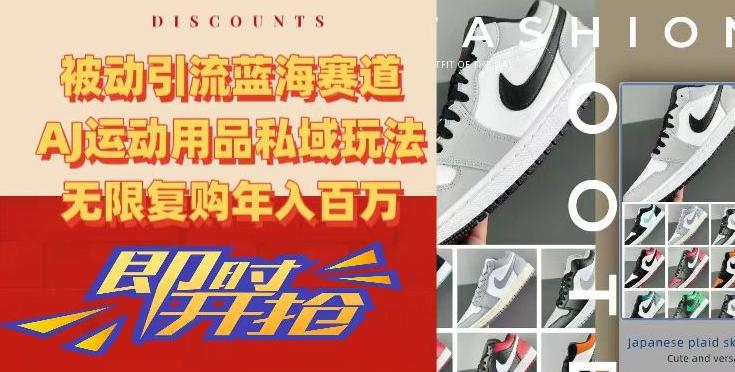 被动引流蓝海赛道，AJ运动用品私域玩法，无限复购年入百万【揭秘】 - 小毅网创-小毅网创