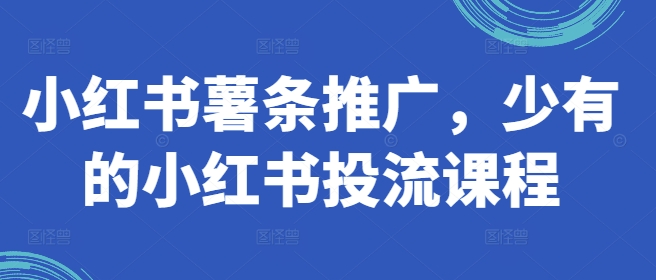 小红书薯条推广，少有的小红书投流课程 - 小毅网创-小毅网创