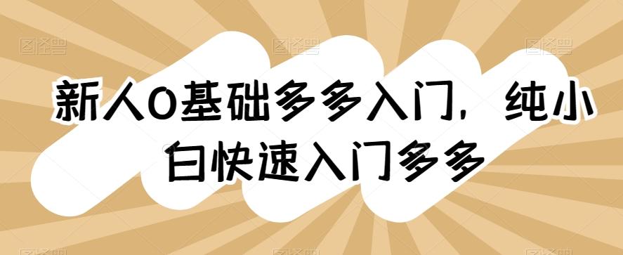 新人0基础多多入门，​纯小白快速入门多多 - 小毅网创-小毅网创