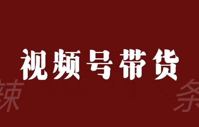 视频号带货联盟，赚信息差的带货钱，只需手机随时随地都可以做！ - 小毅网创-小毅网创