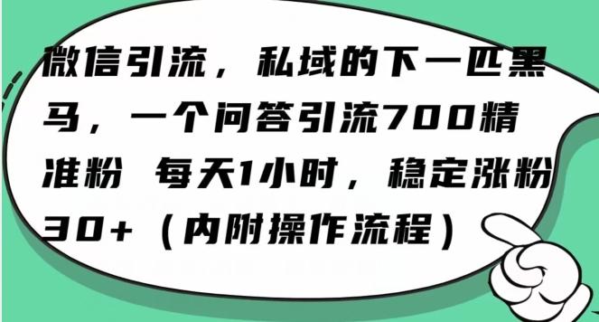 怎么搞精准创业粉？微信新赛道，每天一小时，利用Ai一个问答日引100精准粉 - 小毅网创-小毅网创