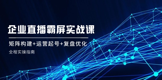 企业直播霸屏实战课：矩阵构建+运营起号+复盘优化，全程实操指南 - 小毅网创-小毅网创