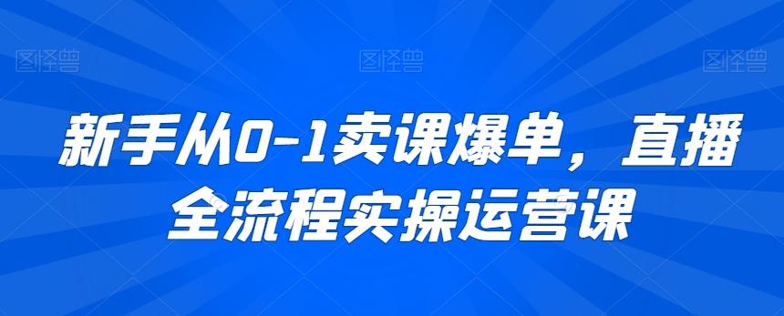 新手从0-1卖课爆单，直播全流程实操运营课 - 小毅网创-小毅网创