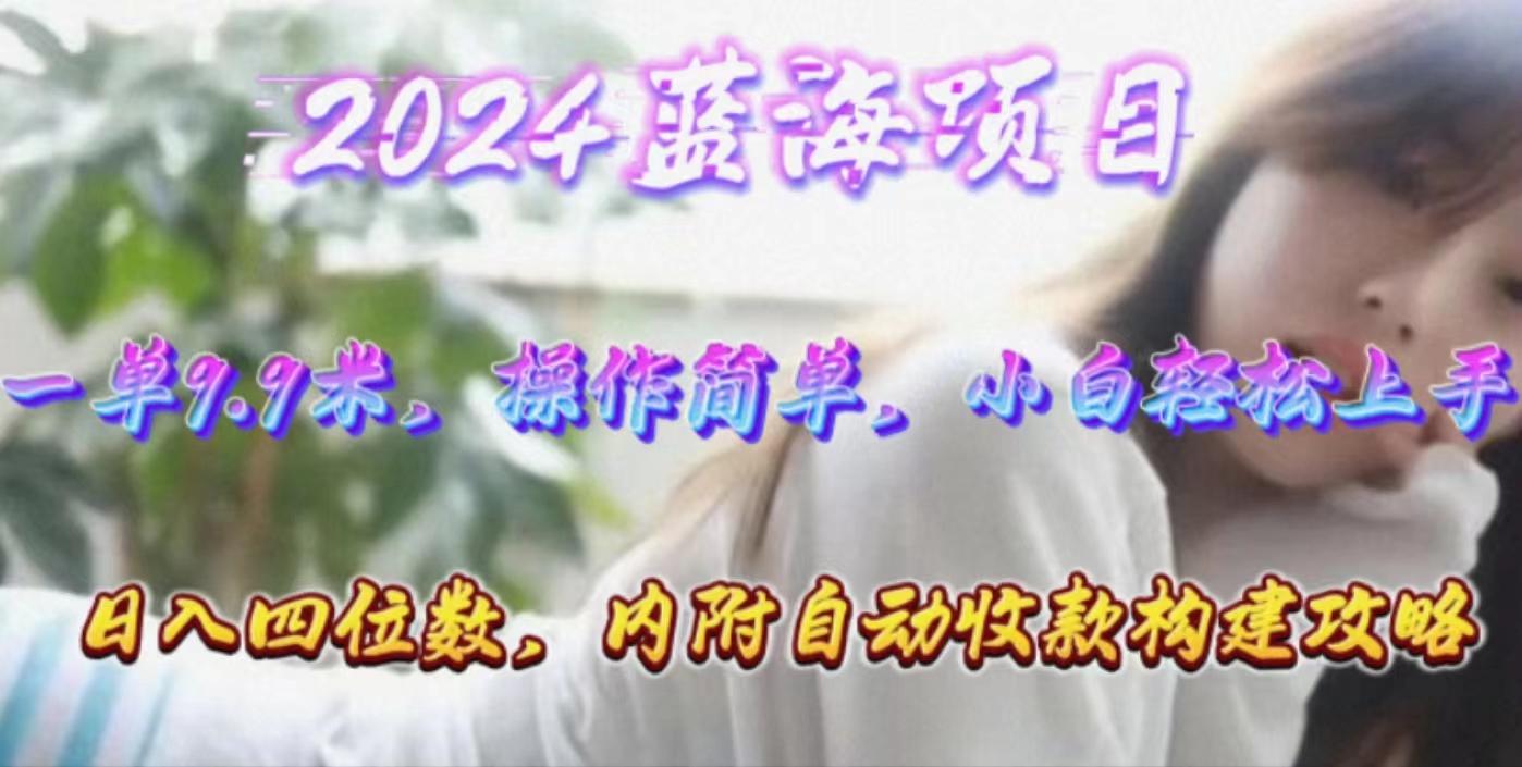 年轻群体的蓝海市场，1单9.9元，操作简单，小白轻松上手，日入四位数 - 小毅网创-小毅网创