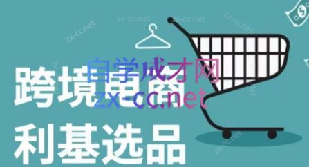 阿甘·2024年跨境电商选品案例(更新) - 小毅网创-小毅网创