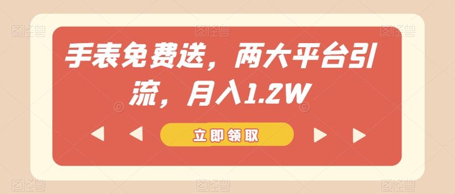 手表免费送，两大平台引流，月入1.2W【揭秘】 - 小毅网创-小毅网创